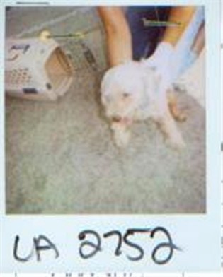 35022peta.jpg