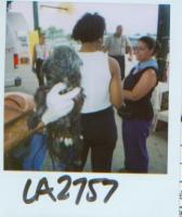 35116peta.jpg