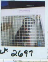 36172peta.jpg